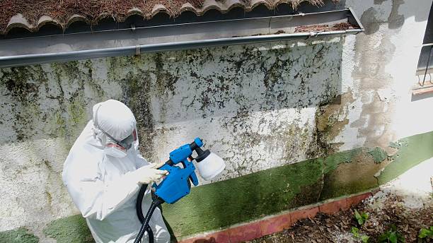 Trusted Mold Testing service in Culpeper, VA - Cheap Mold Removal
